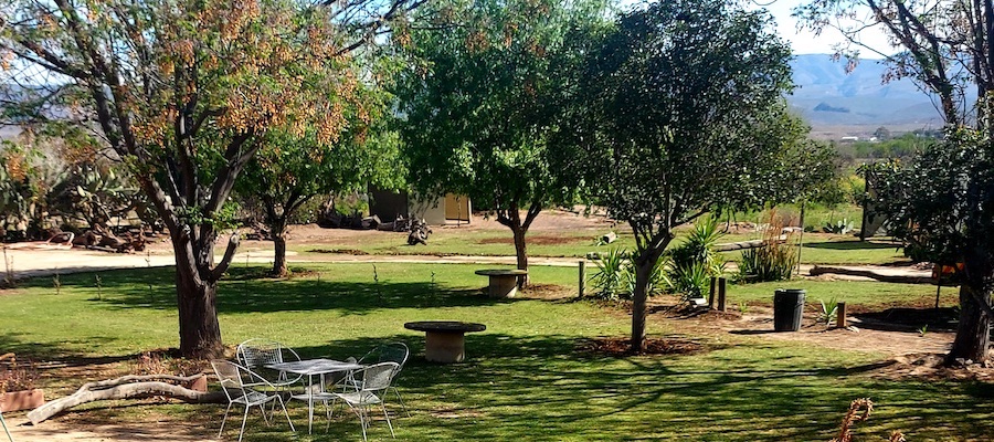Bosvarkie Campsite 